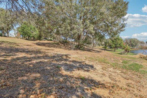 Land in Eustis, Florida № 2130291 - photo 15