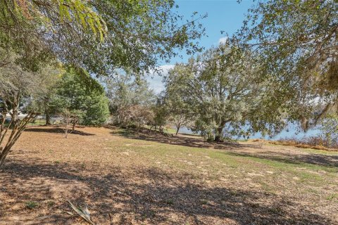 Land in Eustis, Florida № 2130291 - photo 13