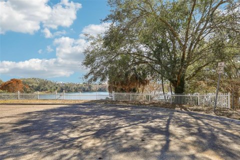 Land in Eustis, Florida № 2130291 - photo 10