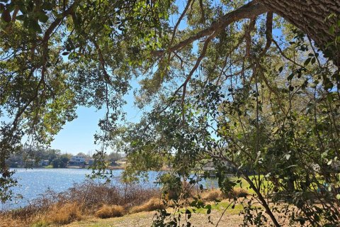 Land in Eustis, Florida № 2130291 - photo 6