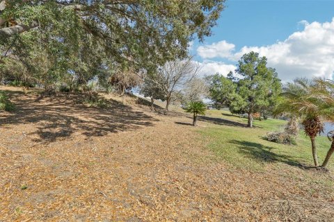 Land in Eustis, Florida № 2130291 - photo 17