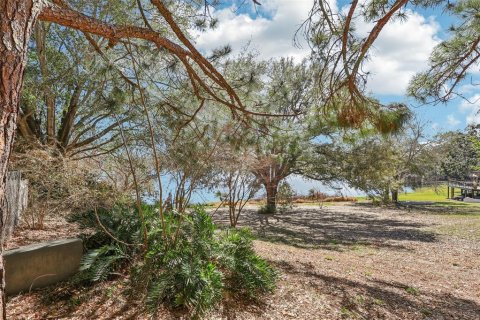 Land in Eustis, Florida № 2130291 - photo 11