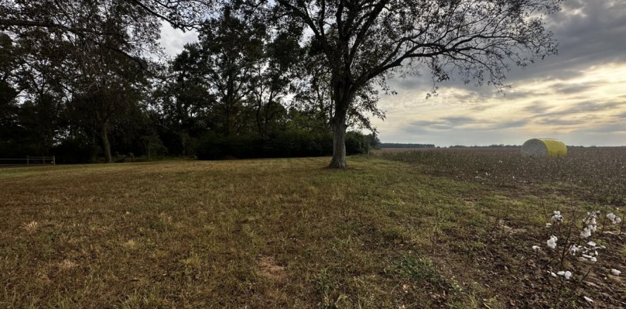 Terreno en Baker, Florida № 560538