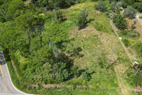 Land in Frostproof, Florida № 2386359 - photo 9