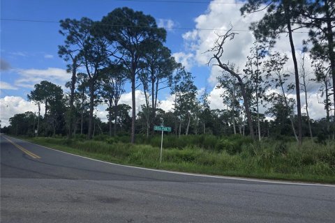 Land in Frostproof, Florida № 2386359 - photo 3