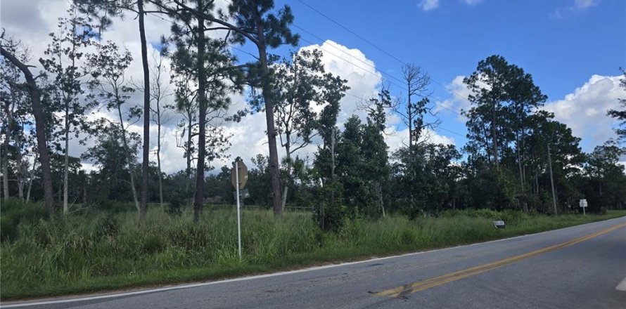 Land in Frostproof, Florida № 2386359