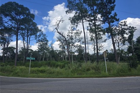 Land in Frostproof, Florida № 2386359 - photo 2