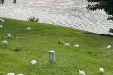 Condominio en alquiler en Miami, Florida, 1 dormitorio, 77.95 m2 № 2031861 - foto 7