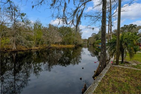 Villa ou maison à vendre à Floral City, Floride: 2 chambres, 66.89 m2 № 1749636 - photo 22