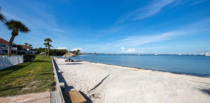 Condo à Saint Petersburg, Floride, 2 chambres № 1883609