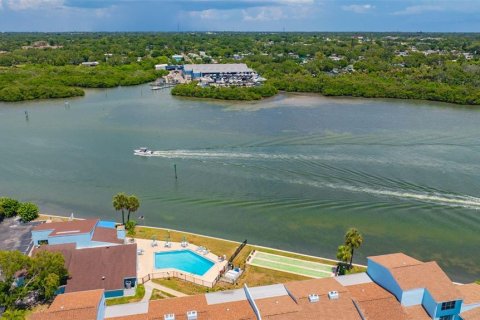 Condo in Indian Rocks Beach, Florida, 1 bedroom № 2229179 - photo 24