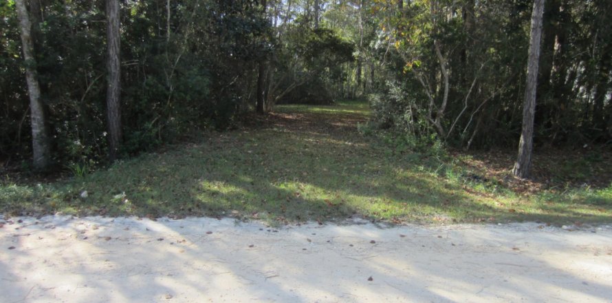 Terreno en Santa Rosa Beach, Florida № 558978