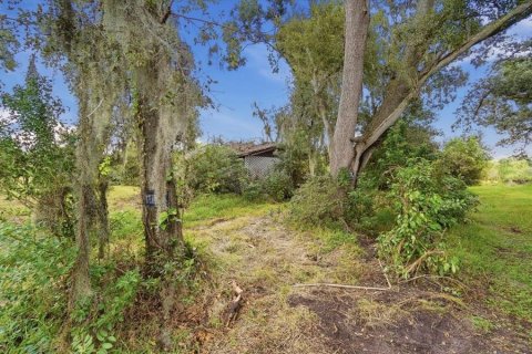 Land in Dover, Florida № 2385995 - photo 27