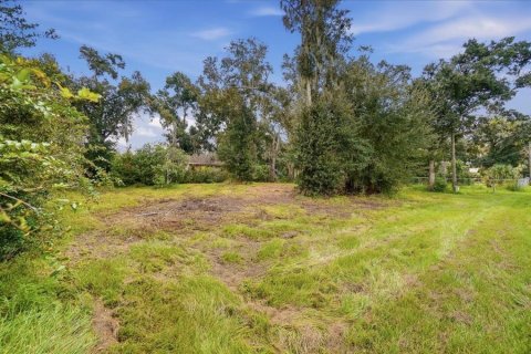 Land in Dover, Florida № 2385995 - photo 28