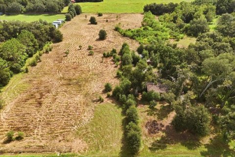 Land in Dover, Florida № 2385995 - photo 25