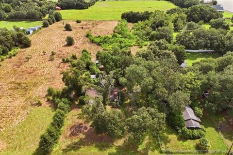 Land in Dover, Florida № 2385995 - photo 24