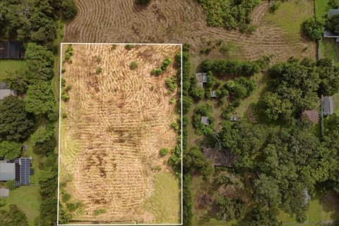 Land in Dover, Florida № 2385995 - photo 6