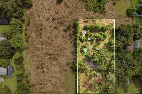 Land in Dover, Florida № 2385995 - photo 10