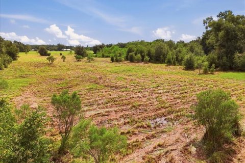 Land in Dover, Florida № 2385995 - photo 19