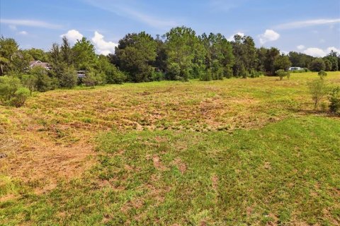 Land in Dover, Florida № 2385995 - photo 18