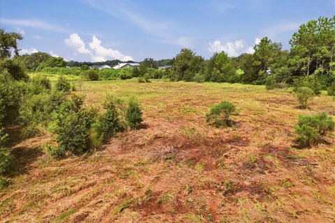 Land in Dover, Florida № 2385995 - photo 21
