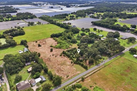Land in Dover, Florida № 2385995 - photo 13