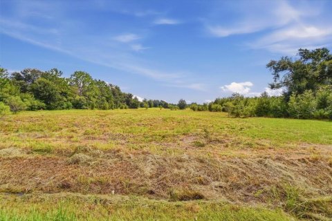 Land in Dover, Florida № 2385995 - photo 15
