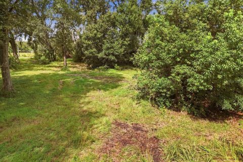 Land in Dover, Florida № 2385995 - photo 3