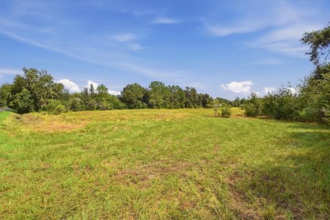 Land in Dover, Florida № 2385995 - photo 16
