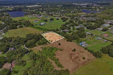 Land in Dover, Florida № 2385995 - photo 8