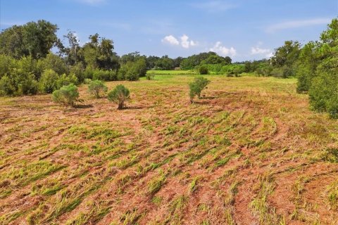 Land in Dover, Florida № 2385995 - photo 20
