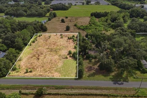 Land in Dover, Florida № 2385995 - photo 7