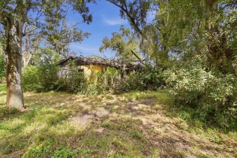 Land in Dover, Florida № 2385995 - photo 26