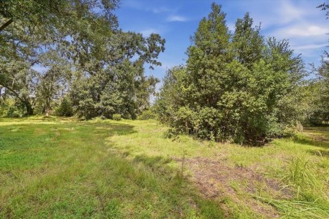 Land in Dover, Florida № 2385995 - photo 2