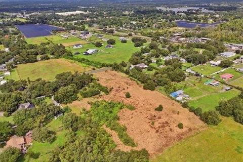 Land in Dover, Florida № 2385995 - photo 29