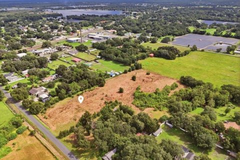 Land in Dover, Florida № 2385995 - photo 9