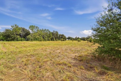 Land in Dover, Florida № 2385995 - photo 17