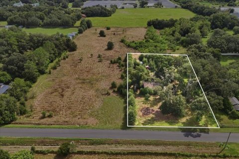 Land in Dover, Florida № 2385995 - photo 11