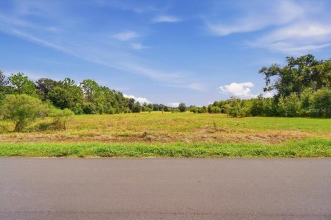 Land in Dover, Florida № 2385995 - photo 14