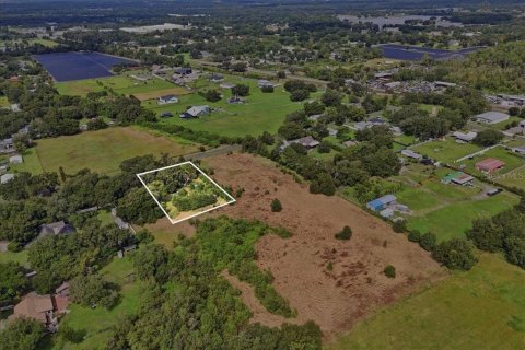 Land in Dover, Florida № 2385995 - photo 12