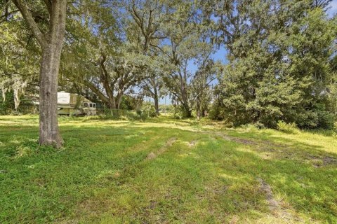 Land in Dover, Florida № 2385995