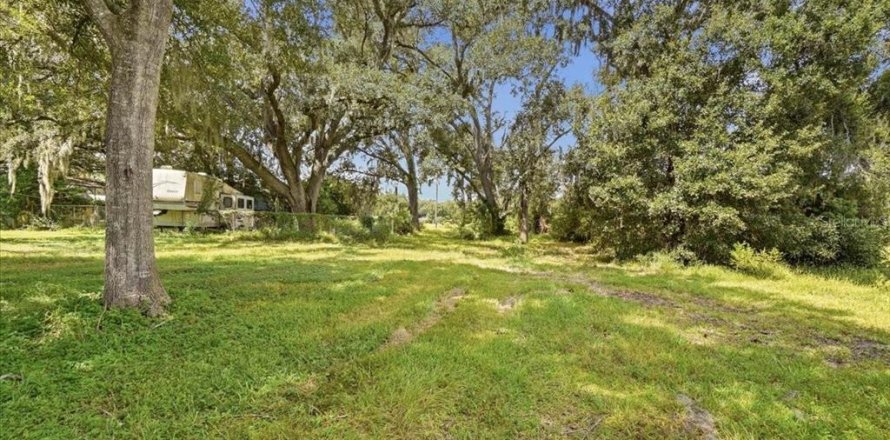 Land in Dover, Florida № 2385995