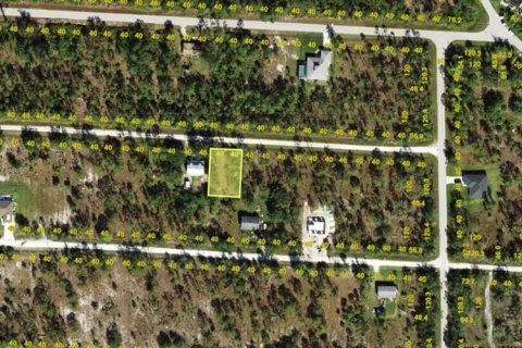 Land in Punta Gorda, Florida № 2198212 - photo 2
