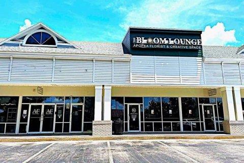 Commercial property in Apopka, Florida 5393.63 sq.m. № 2354778