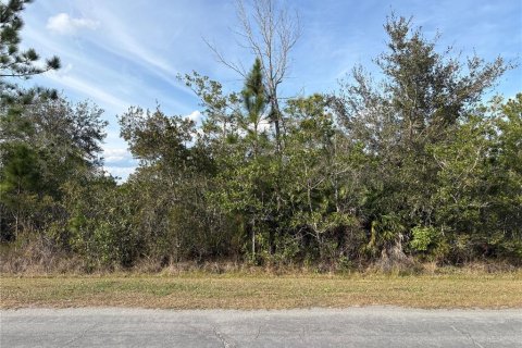 Land in Orlando, Florida № 2118442 - photo 3