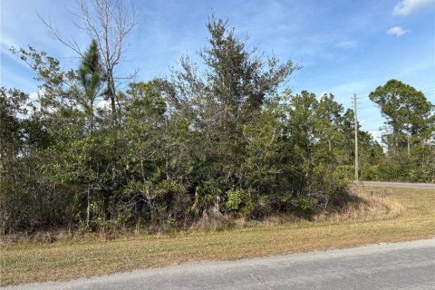 Land in Orlando, Florida № 2118442 - photo 2