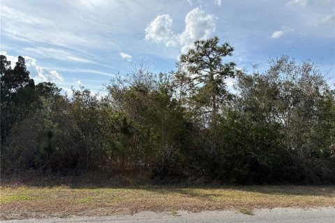 Land in Orlando, Florida № 2118442