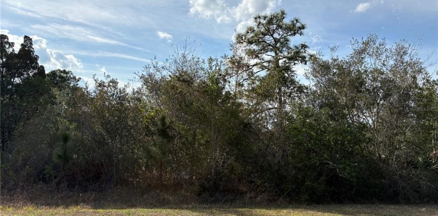 Land in Orlando, Florida № 2118442