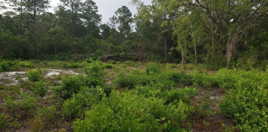 Terreno en Crescent City, Florida № 768655