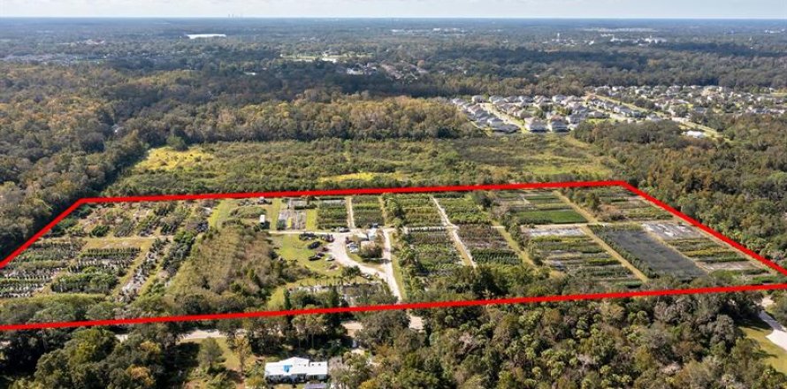 Terreno en Oviedo, Florida № 1139479